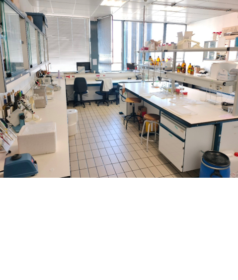Laboratorio singular de materiales y electrónica impresos Laboratorio singular de materiales y electrónica impresos